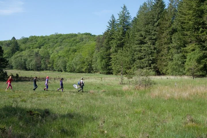 Tourbière des Dauges : promenons-nous dans les bois