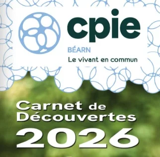 La phytoépuration - Sortie CPIE