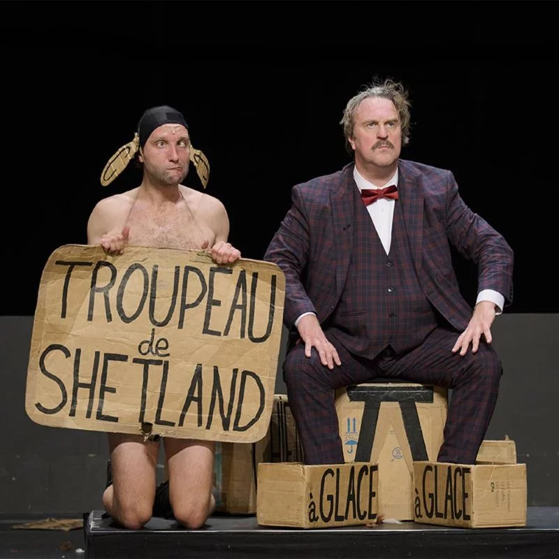 Spectacle humoristique : "Les gros patinent bien"