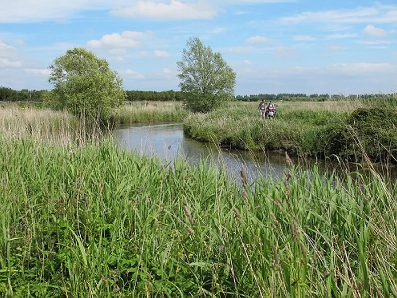 Randonnée dans les marais des Ponts d'Ouve