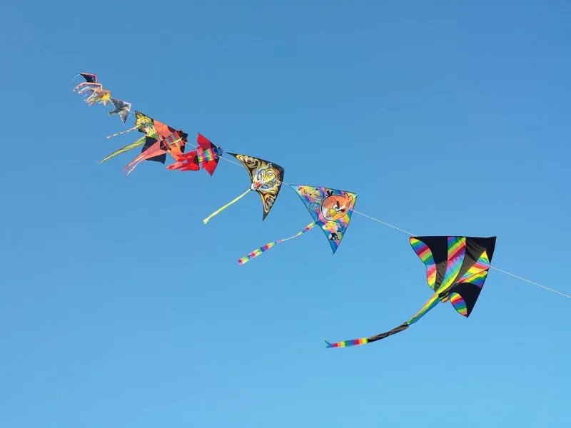 Etang de Chaux : Animations famille
