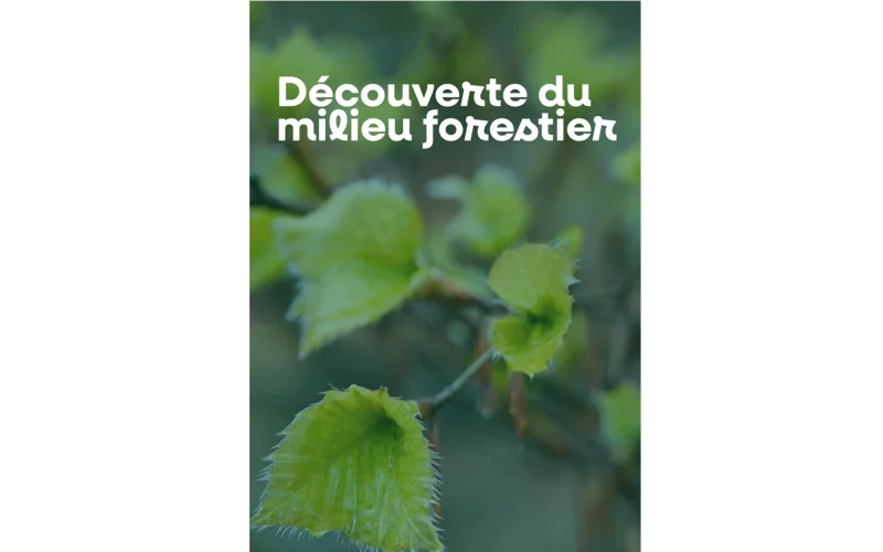 Découverte du milieu forestier