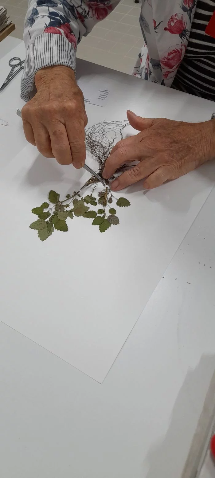 Ateliers créatifs