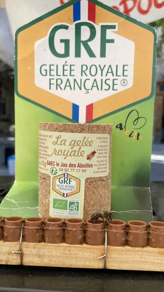 Le dimanche de la Gelée Royale