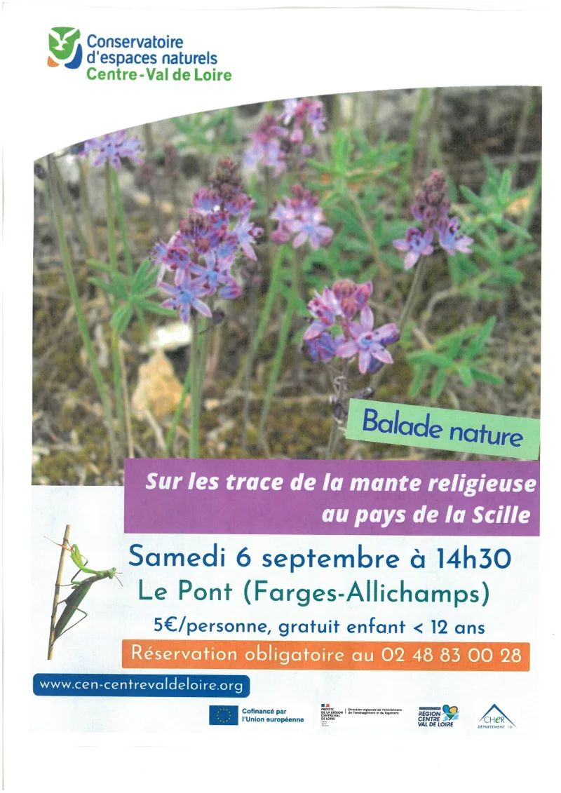 Balade nature sur les traces de la mante religieuse au pays de la Scille