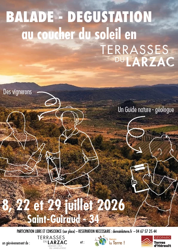 Balade dégustation au coucher du soleil