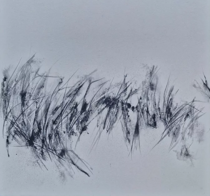Exposition "Simplement Sauvage" de Patricia Fayat
