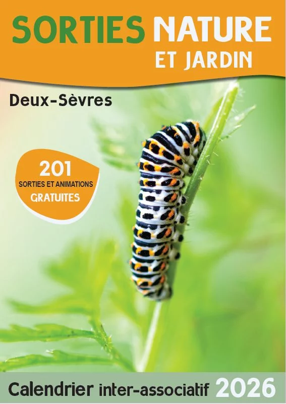 SORTIE NATURE : NOËL AUX BUISSONS