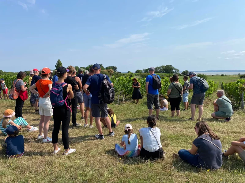 Vignobles en Scène : L'Échappée Vigneronne au château Tour Castillon