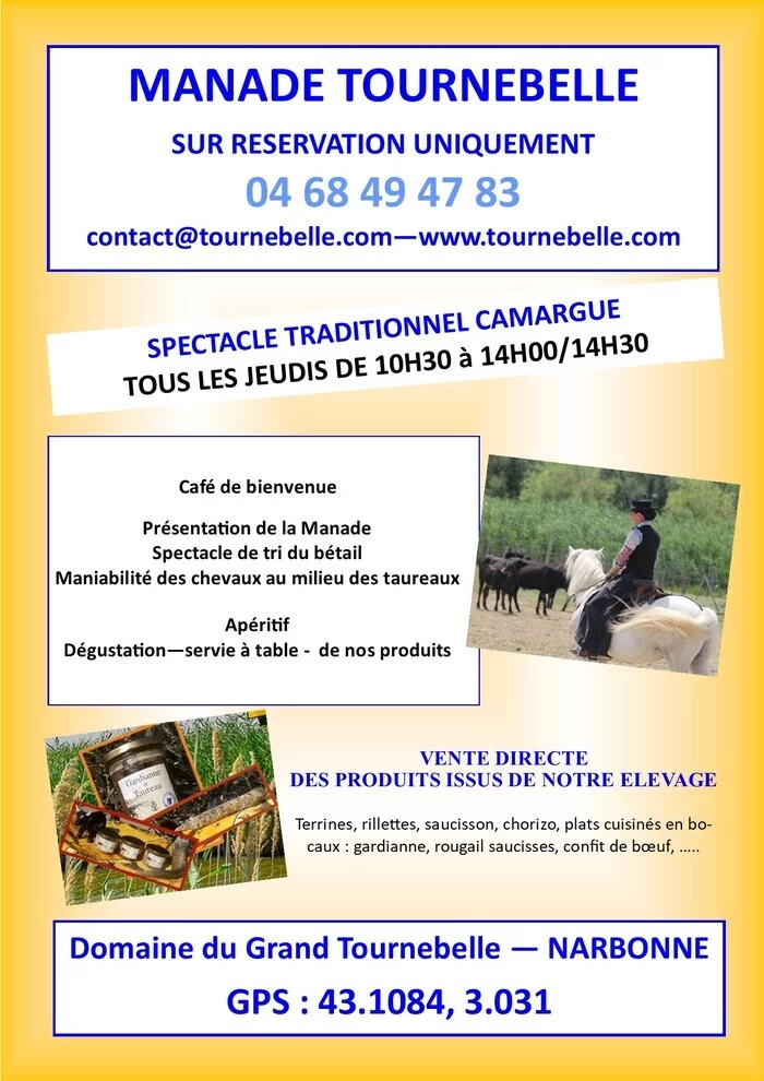 SPECTACLE TRADITIONNEL CAMARGUE