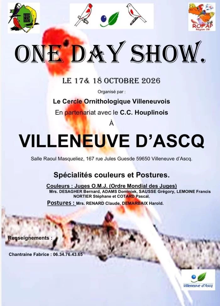 One Day Show  : exposition de canaris