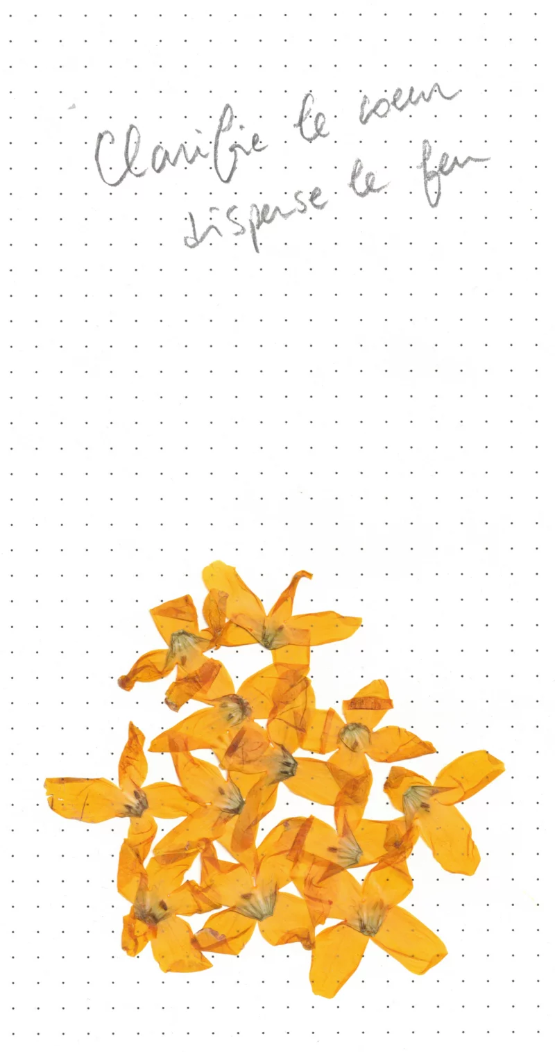 Exposition de Socheata CANTO-AING, "clarifie le coeur disperse le feu"