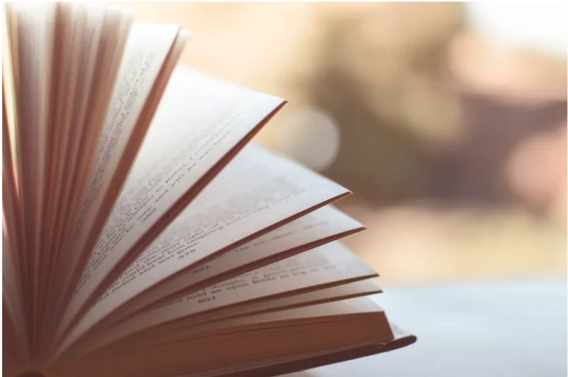 Participation au" Prix Merlieux Des Bibliothèque" 12ème édition
