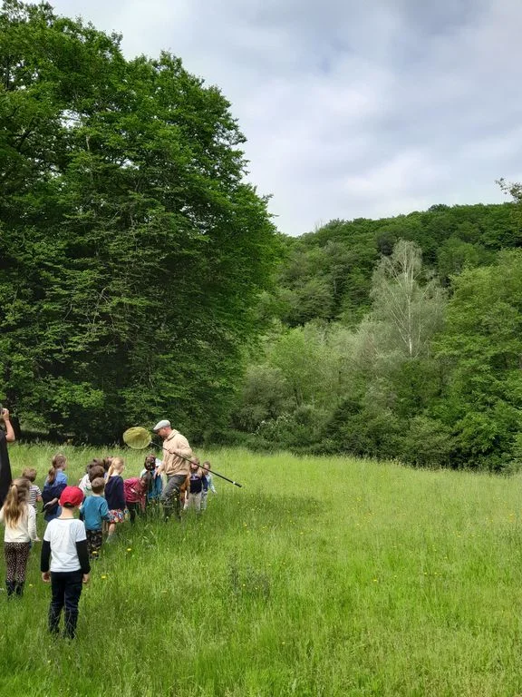 Sur la piste des abeilles sauvages