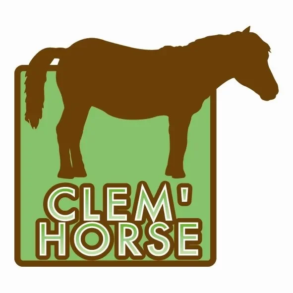Activités équestres avec Clem'Horse pendant les vacances d'automne