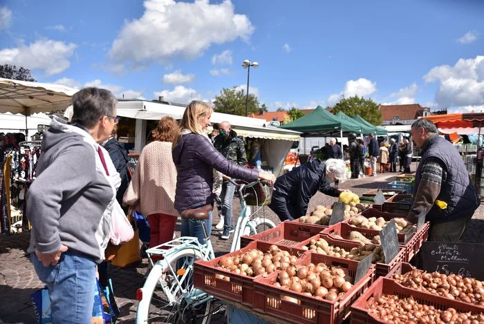 Le CESEC vient à votre rencontre sur le marché.
