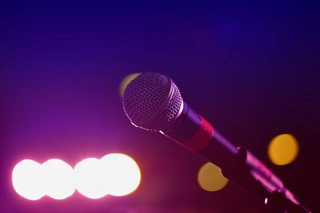 Concert en hommage à Céline Dion