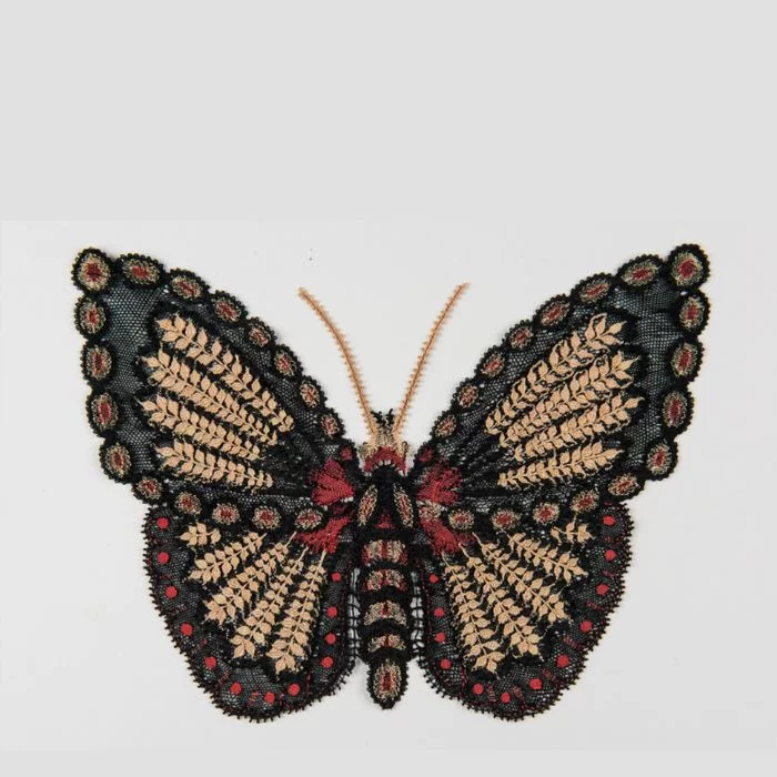 Collection Micro-Folie : Les INSECTES : dans l'art et la nature