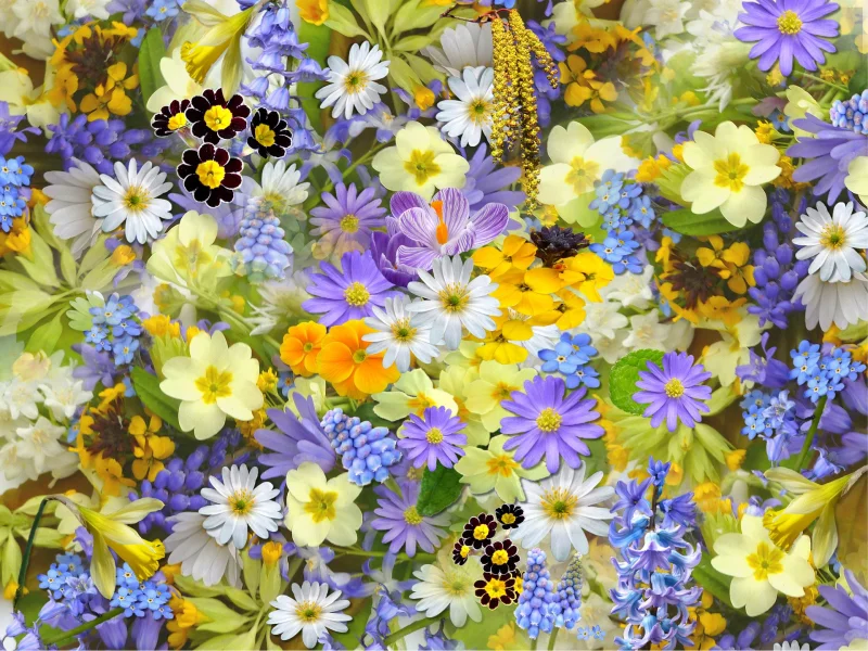 Foire de Printemps