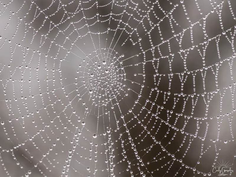 Les minuscules qui font peur