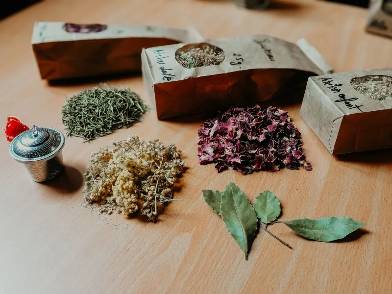 Atelier-nature (3-5 ans) : l'univers des plantes