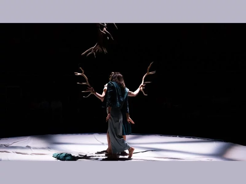 Faune avec la Cie Libertivore dans le cadre de La Nuit du Cirque