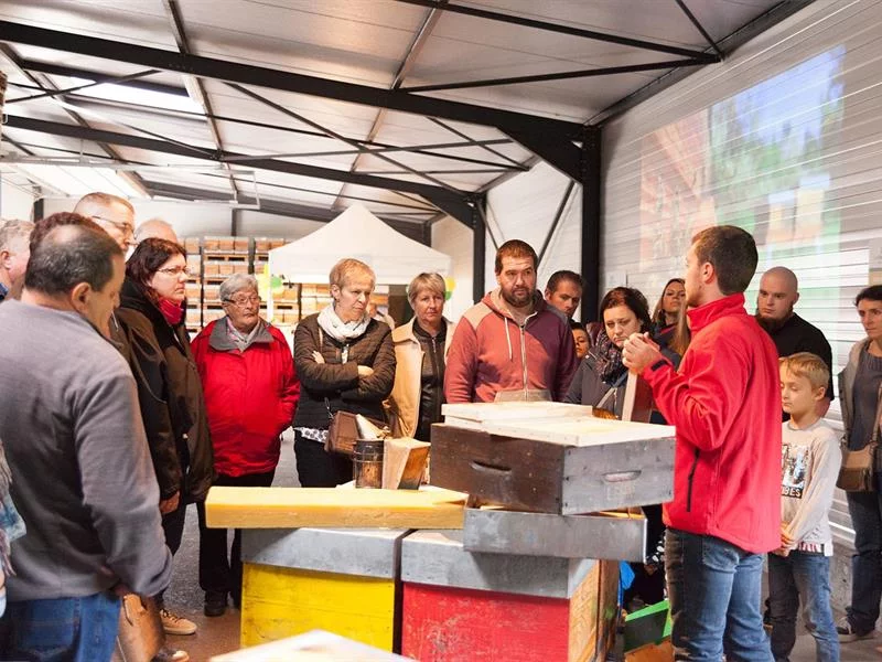 Ruchers des Vosges du Nord, à la découverte de la fabrication du miel !
