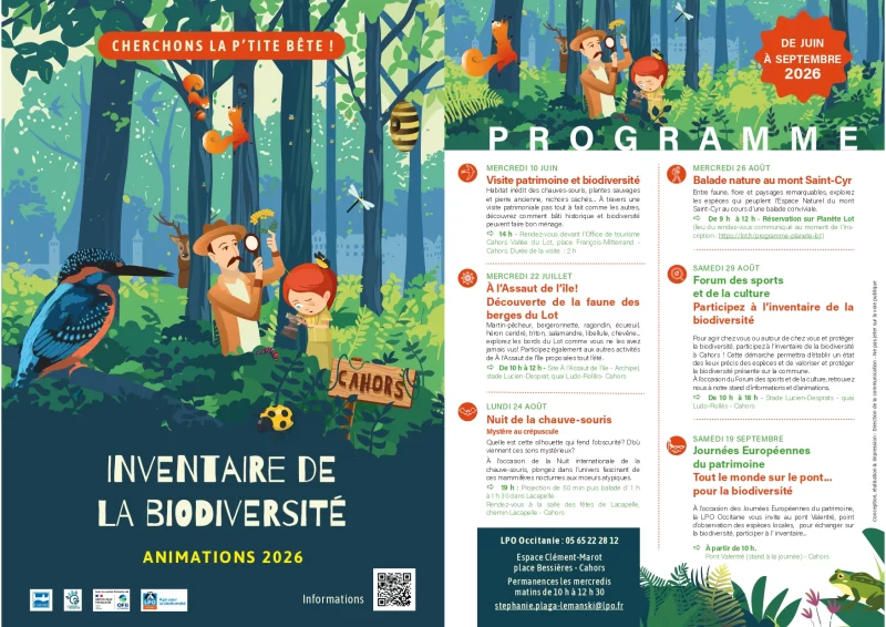Nuit de la chauve-souris : projection et balade nocturne