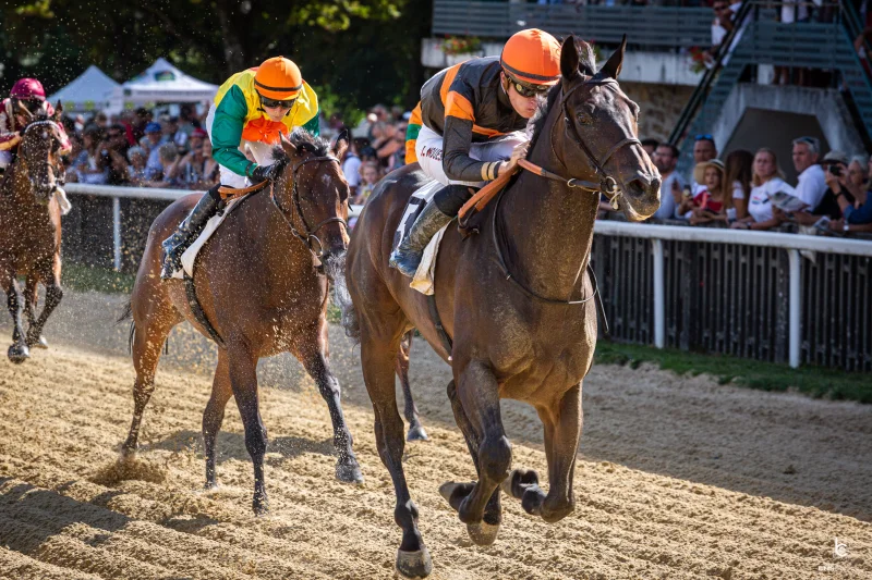 Courses hippiques : Un dimanche au champ de courses