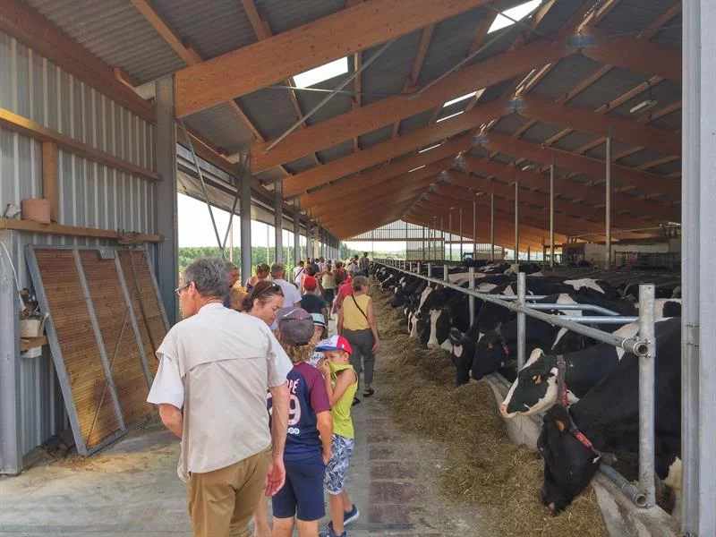 Visite guidée de la Ferme Christ : de la pâture au fromage