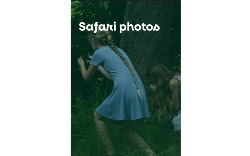 Safari photo