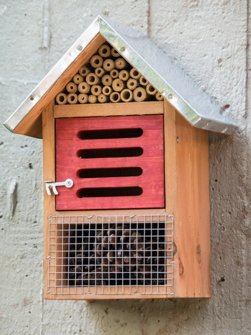 Lou Gabissou : Atelier autour de la Nature