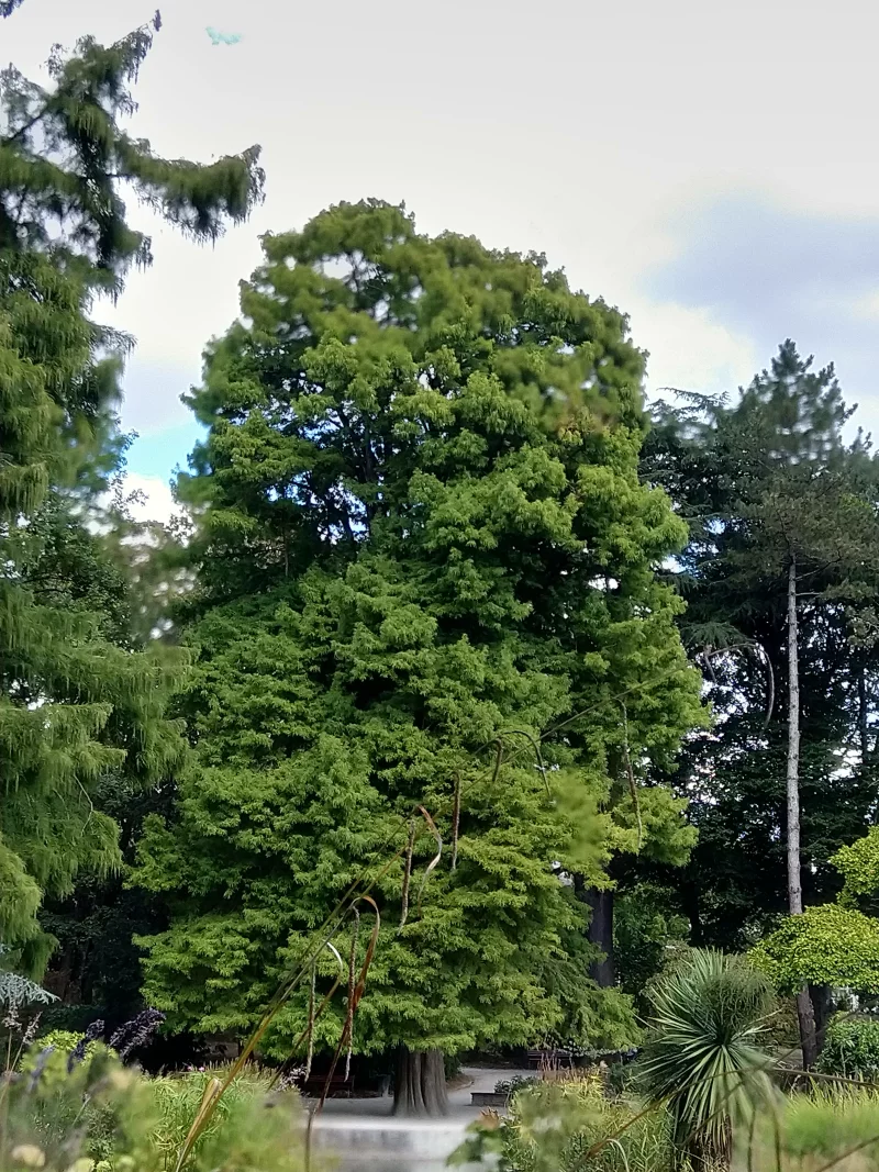 Balade au parc Victor Thuillat - Visite Guidée