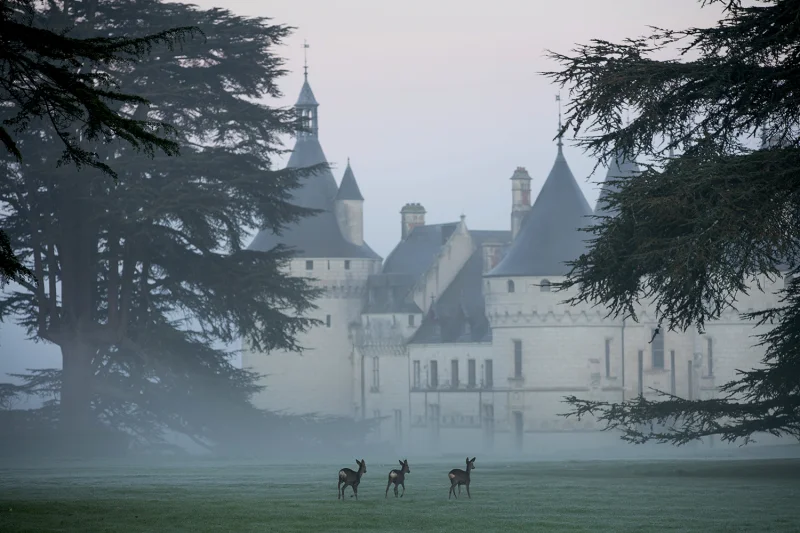 Noël au château de Chaumont-sur-Loire - Chasse au trésor