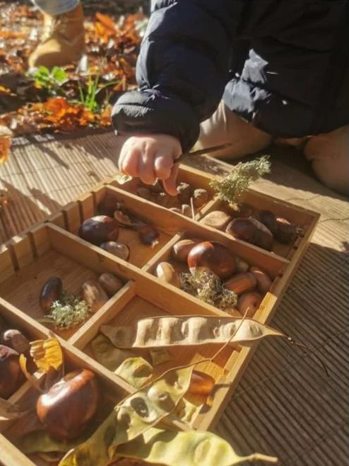 La nature à portée des petites mains avec les Murmures Sauvages