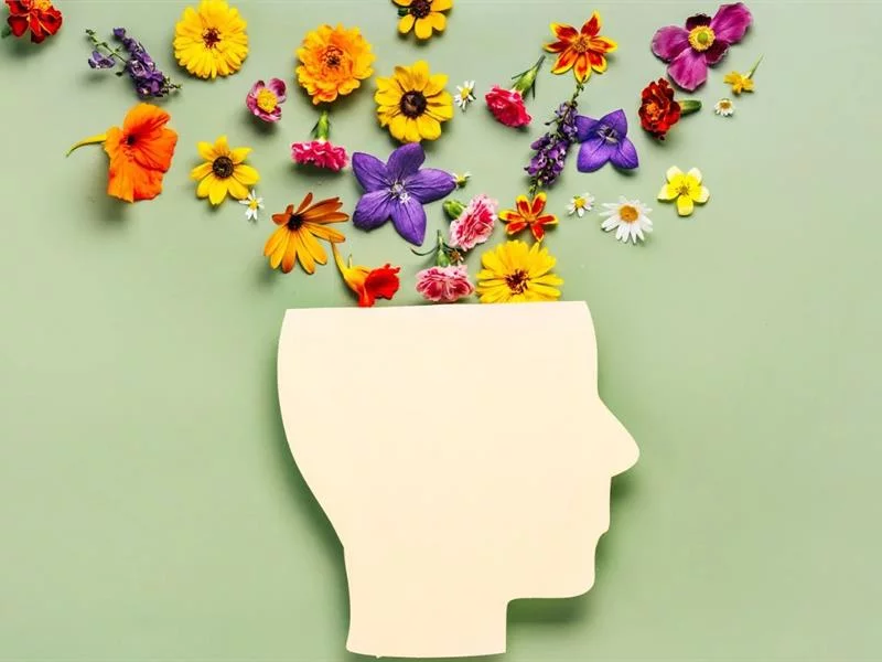 Conférence sur la santé mentale