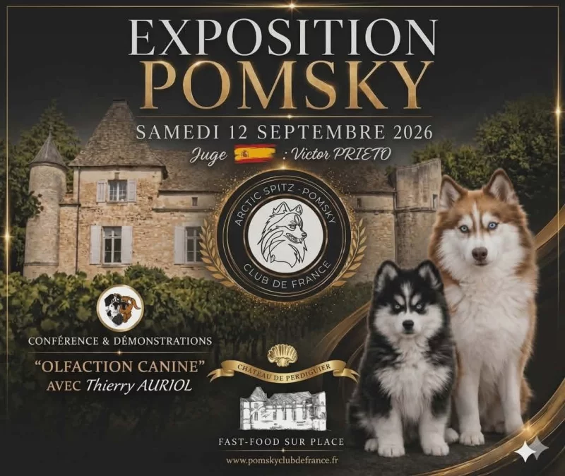 EXPOSITION CANINE POMSKY