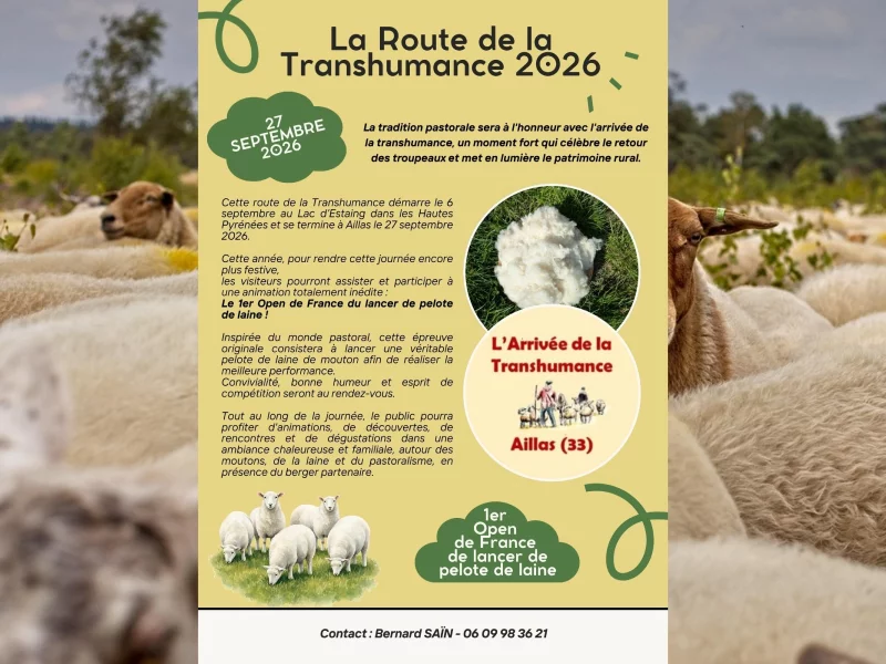 Arrivée de la transhumance