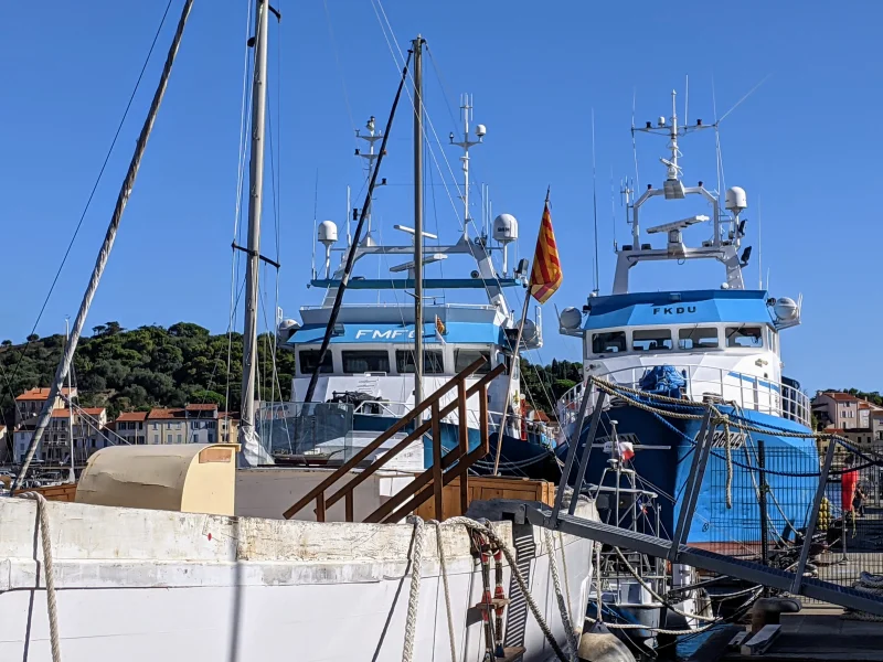 VISITE GUIDEE "PORT-VENDRES AU FIL DE L'EAU"
