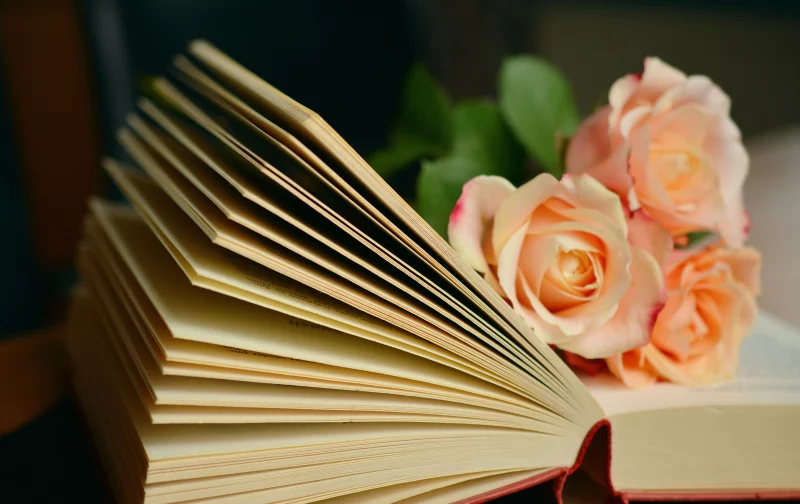 LECTURE À VUE (TPVH)