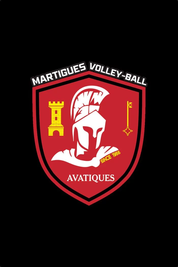 VOLLEY BALL. MVB / HARNES VOLLEYBALL