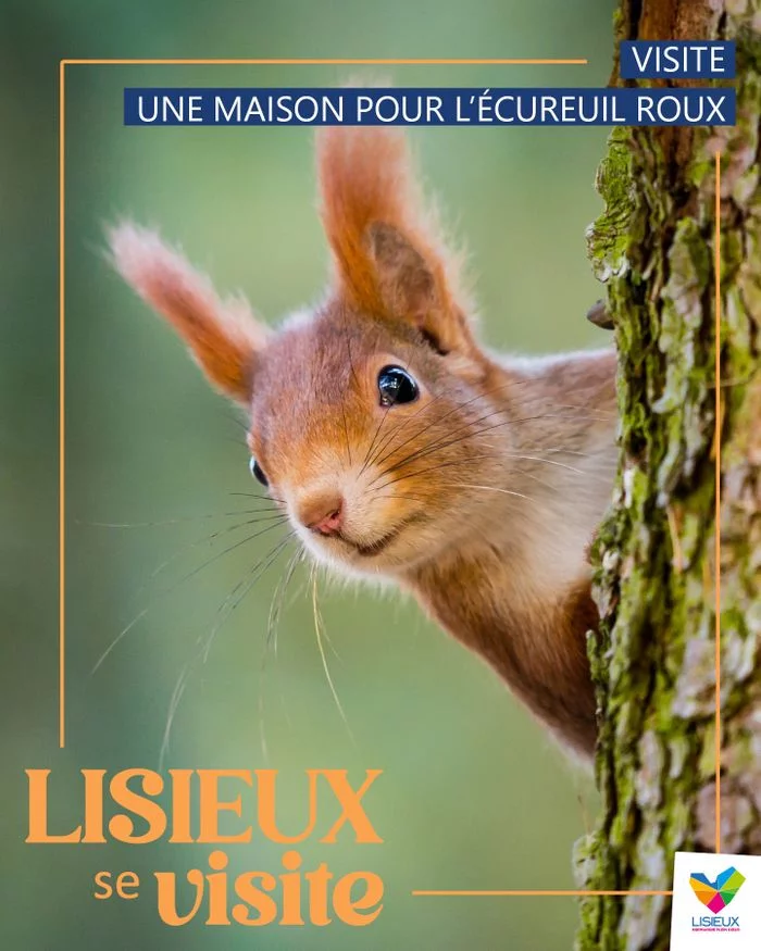 Visite - Une maison pour l'écureuil roux