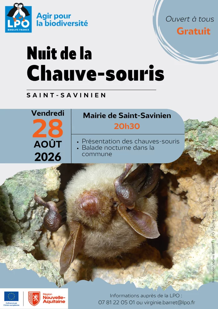 Les chauves-souris de Saint-Savinien
