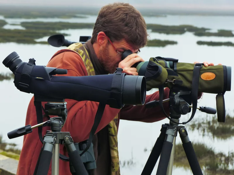 Les oiseaux hivernants de St Brice