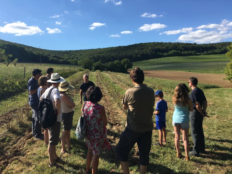 Visites d'été à la ferme Fruirouge©
