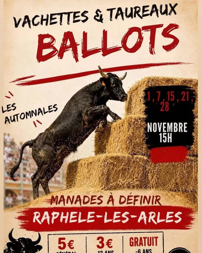 Courses de ballots automnales