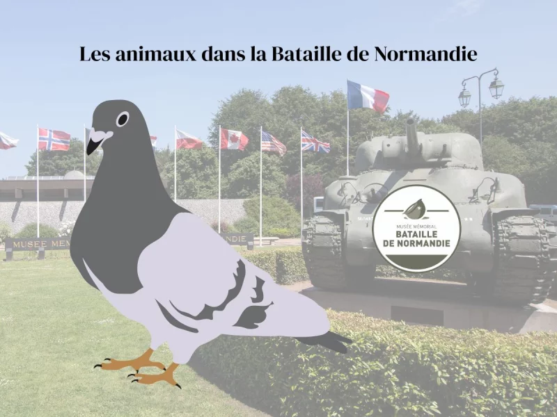 Vacances d'automne au musée