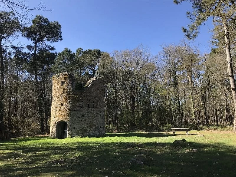 Donjon et moulin de Pirou
