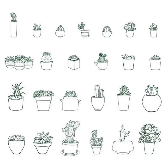 Troc aux plantes