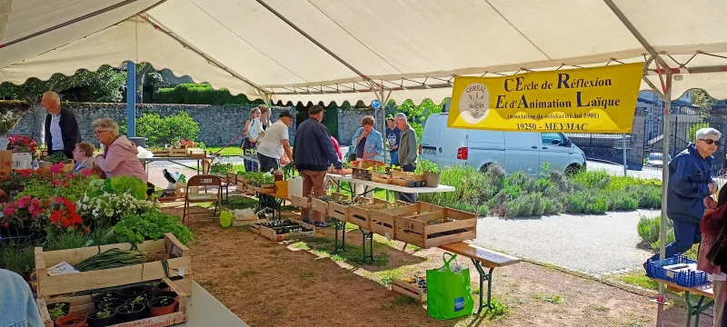 Vente de plants